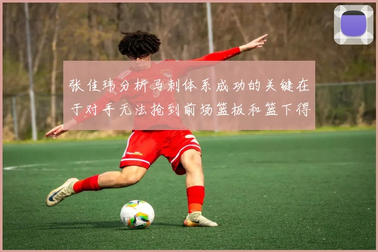 张佳玮分析马刺体系成功的关键在于对手无法抢到前场篮板和篮下得分困难