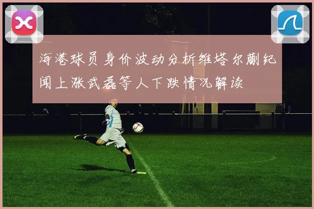 海港球员身价波动分析维塔尔蒯纪闻上涨武磊等人下跌情况解读