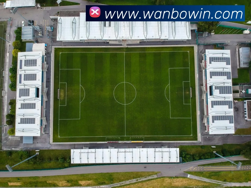 万博体育平台生态图