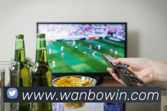 万博体育APP 封面图